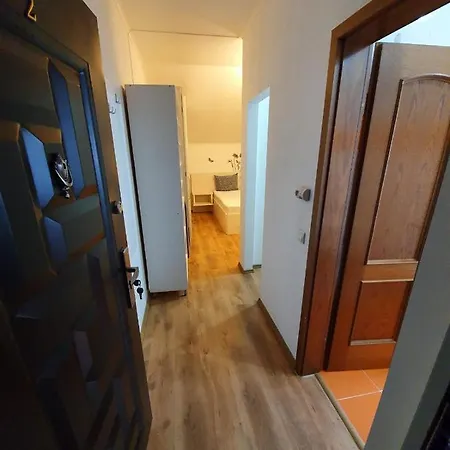 Apartment Carolina 2 Timisoara